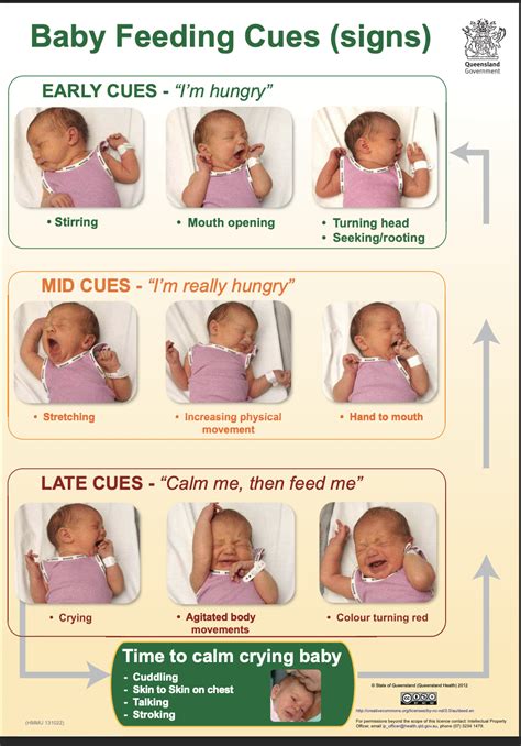 Understanding Baby's Cues